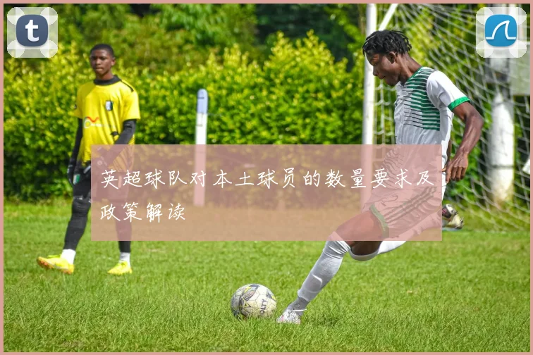 英超球队对本土球员的数量要求及政策解读