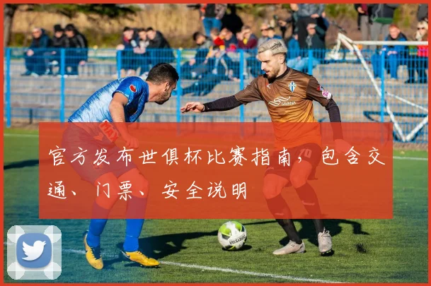 官方发布世俱杯比赛指南，包含交通、门票、安全说明