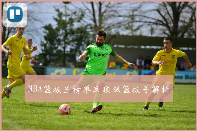 NBA篮板王榜单及顶级篮板手解析