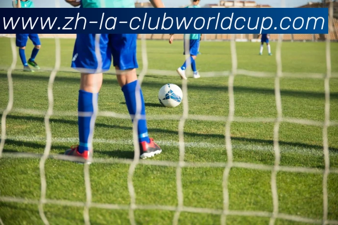 世界杯官网发展历程