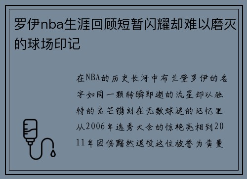 罗伊nba生涯回顾短暂闪耀却难以磨灭的球场印记