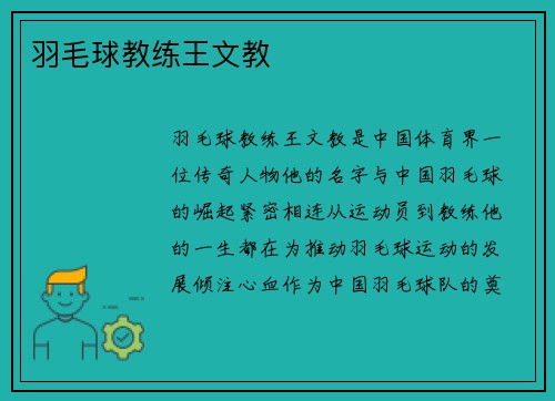 羽毛球教练王文教